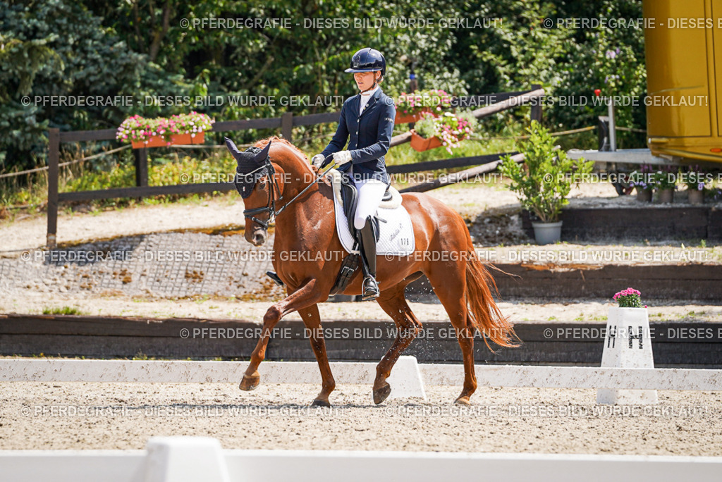 DSC01005 | Pferdegrafie