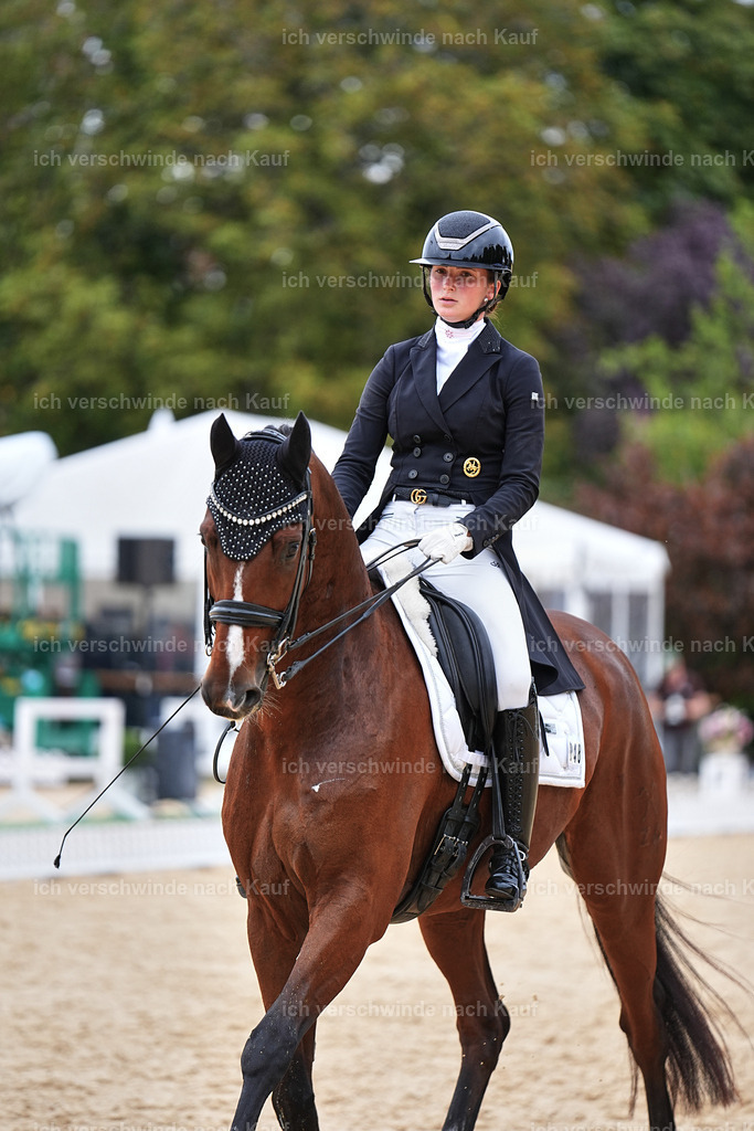 11-048-Dressur S___-Marixx-1515 | working equitationturnier fotograf videograf stoibphotography marixx film working equitation deutschland reitsport turnierfotografie eventfotografie equestrian events