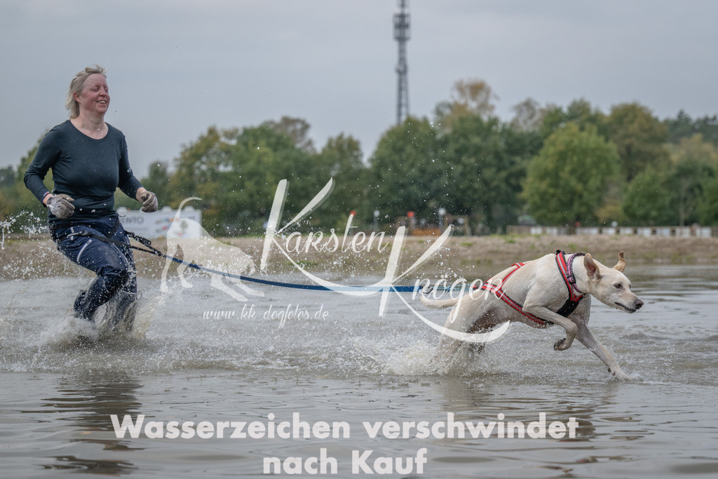 1504_ZZ93044 | kk-dogfotos