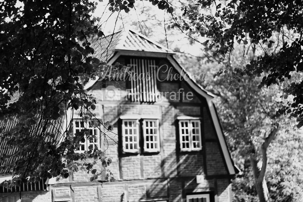 IMG_1854 | Der Onlineshop für malerische Fotografien aus dem Landkreis Vechta✅ Premium Druck auf Leinwand✅ Acryl✅ oder Alu-Dibond✅➤Jetzt Bestellen! - Realisiert mit Pictrs.com