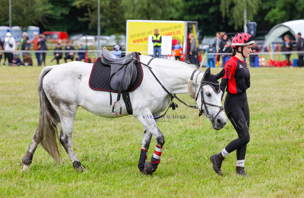 1B3A2749 | Reitsport Reiten