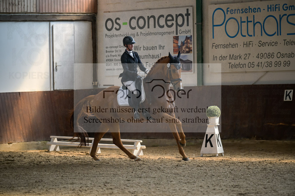 Reitturnier Voxtrup | Entdecke hochwertige Reitturnierfotos von Foto Oger. Professionell, emotional und authentisch – jetzt Lieblingsmomente im Shop bestellen.Deutschlandweite Turnierfotografie. - Realisiert mit Pictrs.com