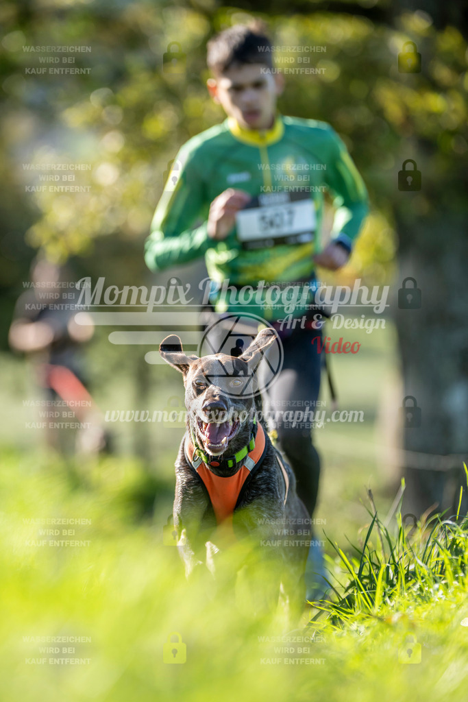 MompixPhotography_20TSB_E3_Run-231 | PayLife