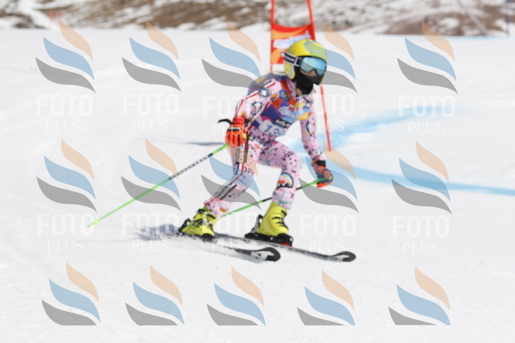 _U3G1021 | holidayphoto