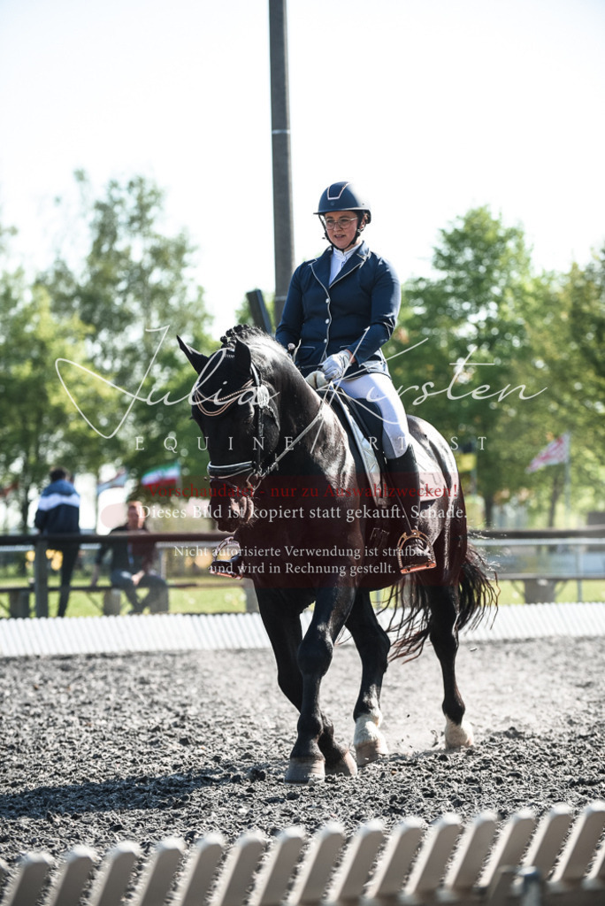 DSC_8467 | Pferde- und Turnierfotografie in Westsachsen. Pferdeportraits, Auftragszeichnungen und intuitive Kunst.