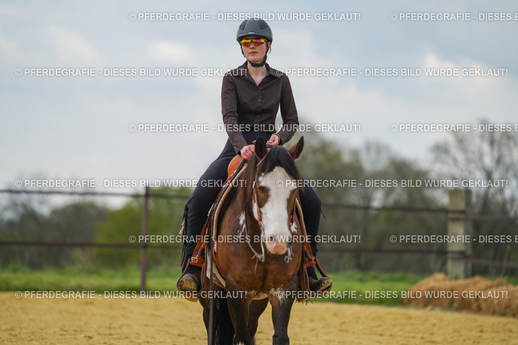 DSC06704 | Pferdegrafie