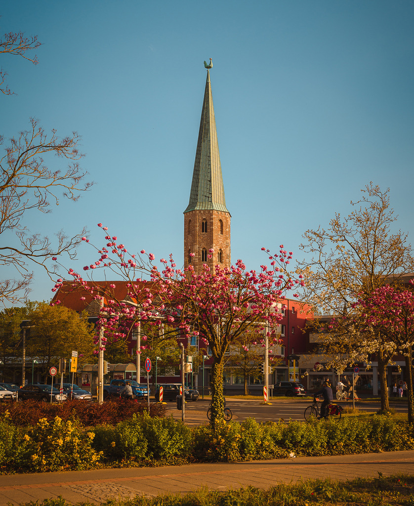 20250414-Friederike-Fuchs-1 | Entdecke exklusive Fotokunst aus Braunschweig: Bildband, Leinwände, Postkarten, Kalender, digitale Downloads & Bildlizenzen. Jetzt im offiziellen Beautiful Braunschweig Shop! - Realisiert mit Pictrs.com