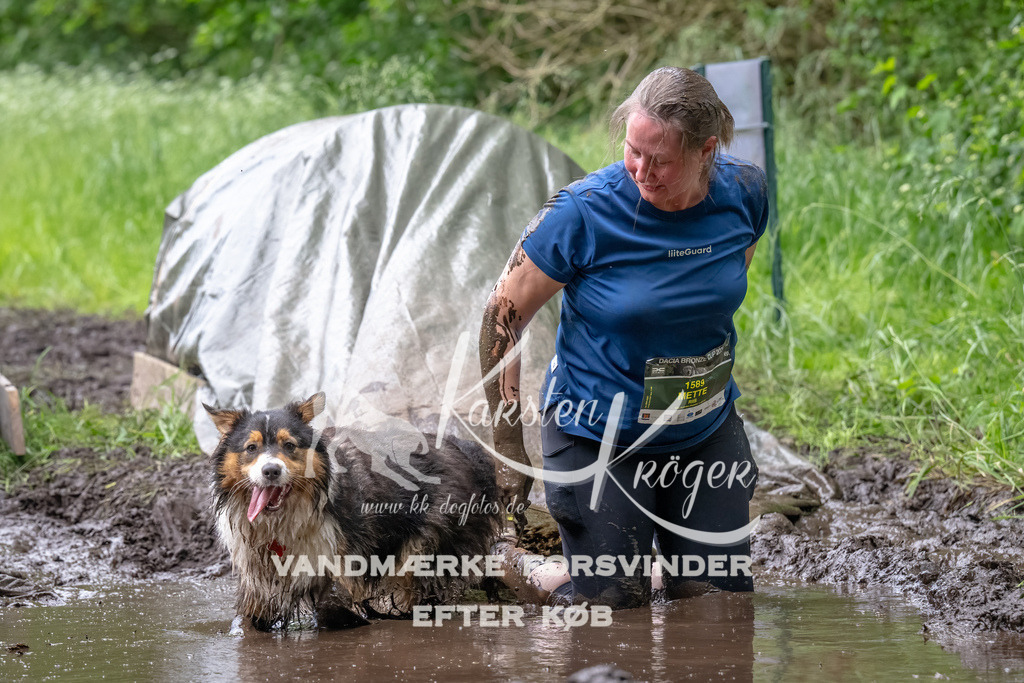 1631_ZZ94434-Bearbeitet | kk-dogfotos