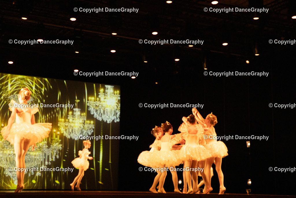 GPHY4548 | DanceGraphy - Realisiert mit Pictrs.com