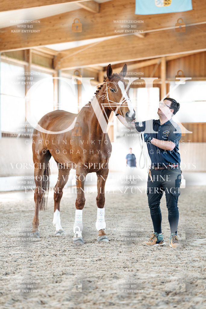 CK906691 | Turnierfotografie Pferdefotografie Trier Rheinland-Pfalz Pferdesport Reitsport Tierfotografie Sportfotografie Pferdevideo Pferdevideografie Equestrianvideography equestrianphotography  - Realized with Pictrs.com