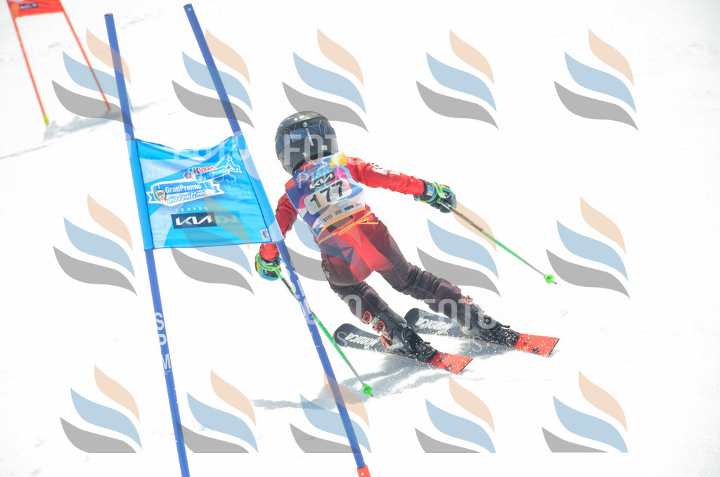 _ELE6635 | holidayphoto