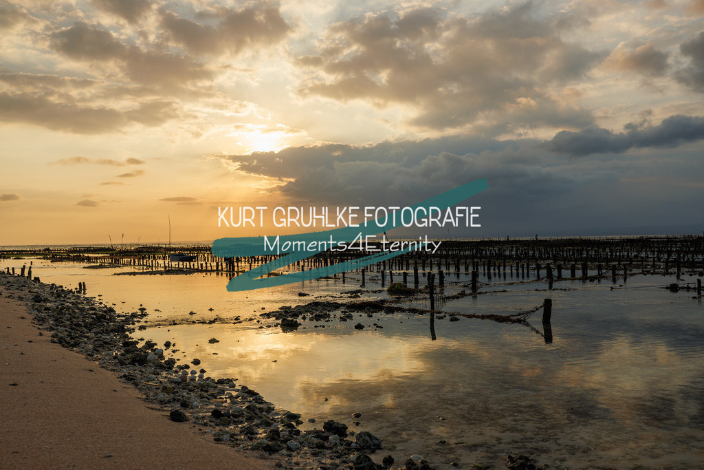 230723-2489 | onlinegalerie und Fotoshop Kurt Gruhlke Fotograf Berlin
Hochzeitsfotograf Eventfotograf Portraitfotografie
 - Realisiert mit Pictrs.com