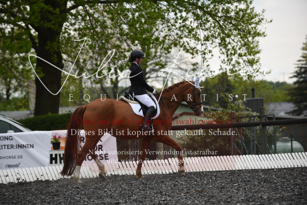 20230513_JK-Röhrsdorf-16-134 | Pferde- und Turnierfotografie in Westsachsen. Pferdeportraits, Auftragszeichnungen und intuitive Kunst.