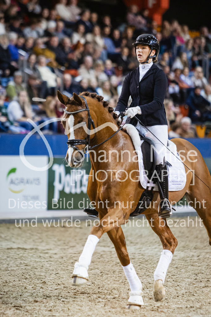 250108_Muenster_Hengstpräsentation-157 | Deine schönsten Turniermomente als professionelle Fotos! Entdecke hochwertige Pferdesport-Fotografie im Online-Shop. Jetzt Fotos finden & bestellen!