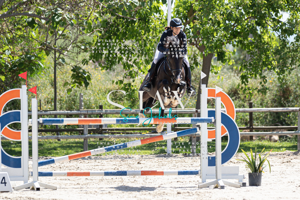 IMG_0082 | s-jay-photography - Realisiert mit Pictrs.com