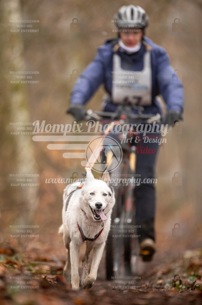 Reiat2023_SON_Bike_5km_1H-62 | PayLife