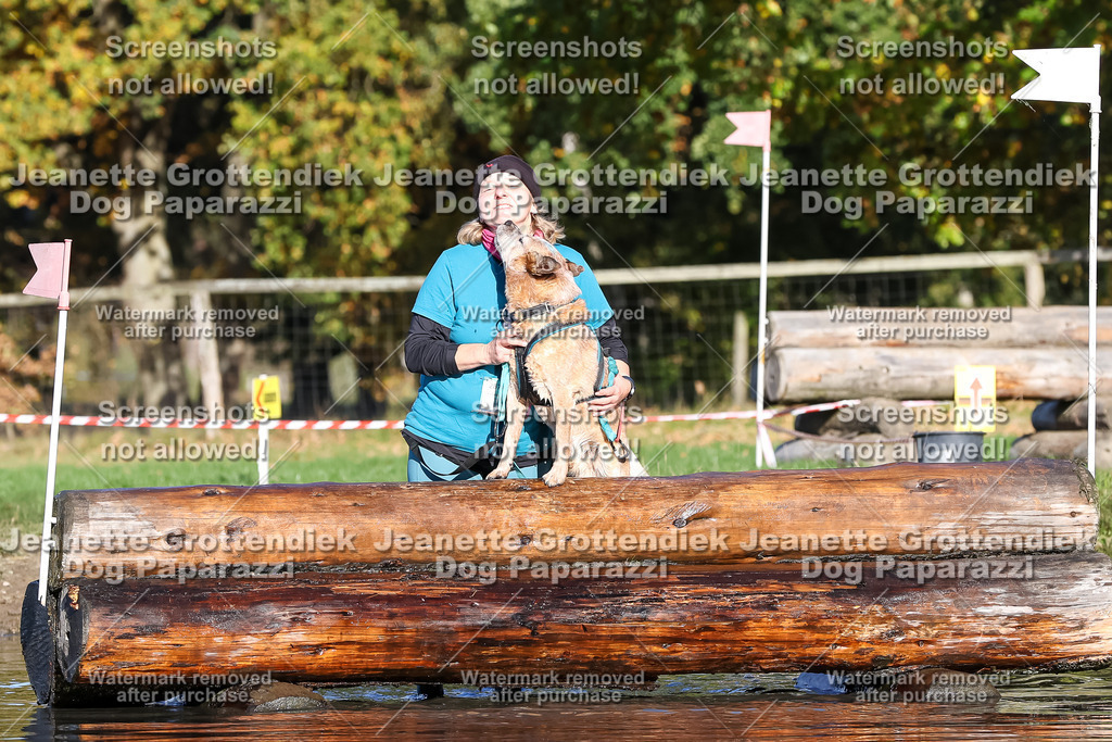 Dog Paparazzi - Strongdog 10-25-8724 | Dog Paparazzi Jeanette Grottendiek Fotografie & Videografie - Realisiert mit Pictrs.com