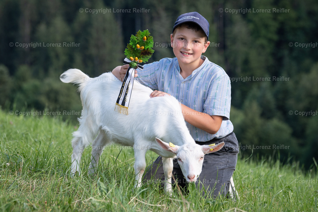 Schwingen -  Appenzeller Kantonal Nachwuchsschwingfest 2023 | Oberegg, 8.7.23, Schwingen - Appenzeller Kantonal Nachwuchsschwingfest. Sieger Jahrgang 2014-2015 Gamper Rafael (2014 Romanshorn)