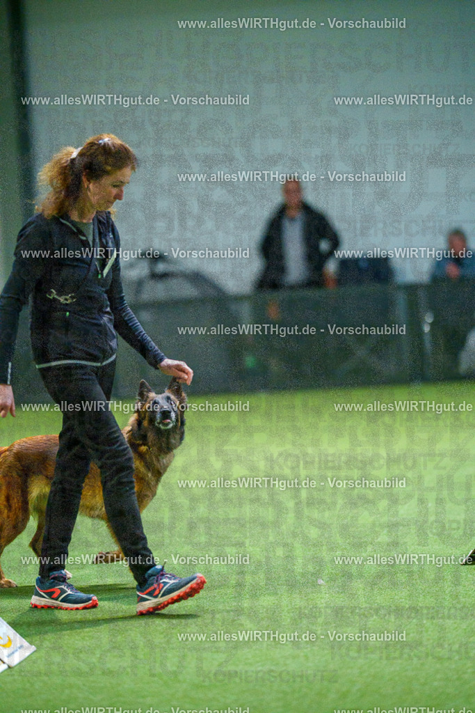 7R500973 | Professionelle Tierfotografie in Mönchengladbach von Daniel Wirth (allesWIRTHgut). Liebevolle & natürliche Bilder von Hunden & Katzen für unvergessliche Erinnerungen.