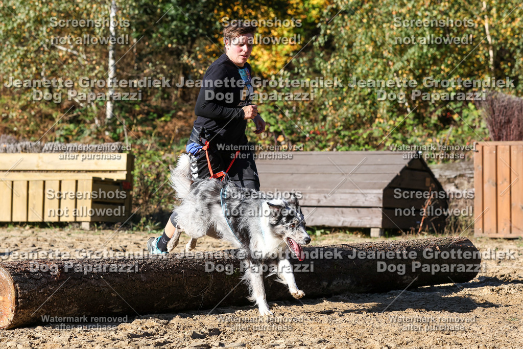 Dog Paparazzi - Strongdog 10-25-2194 | Dog Paparazzi Jeanette Grottendiek Fotografie & Videografie - Realisiert mit Pictrs.com