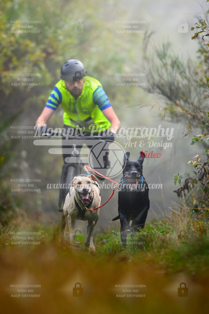 MompixPhotography_20TSB_E4_DS2-22 | PayLife