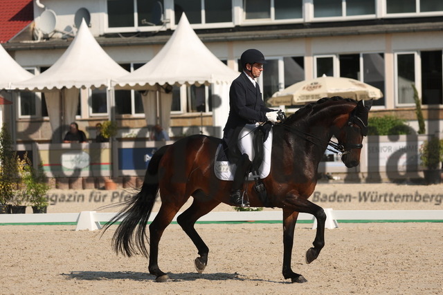 Winterlingen_2023_Prfg.Nr.03_Derby Stars von morgen_Uwe Schwanz_Don Lauris (18) | Alle Fotos der Reiterjournal Fotografin Doris Matthaes im Reiterjournal Online-Fotoshop. - Realizado com Pictrs.com