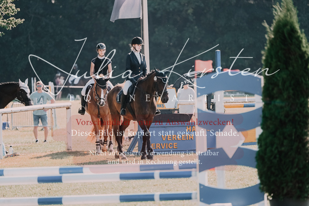 DSC_4883 | Pferde- und Turnierfotografie in Westsachsen. Pferdeportraits, Auftragszeichnungen und intuitive Kunst.
