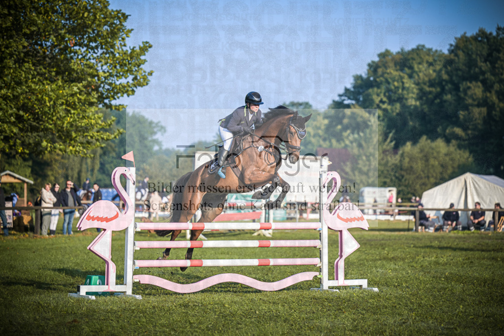DOS_0109 | Entdecke hochwertige Reitturnierfotos von Foto Oger. Professionell, emotional und authentisch – jetzt Lieblingsmomente im Shop bestellen.Deutschlandweite Turnierfotografie. - Realisiert mit Pictrs.com