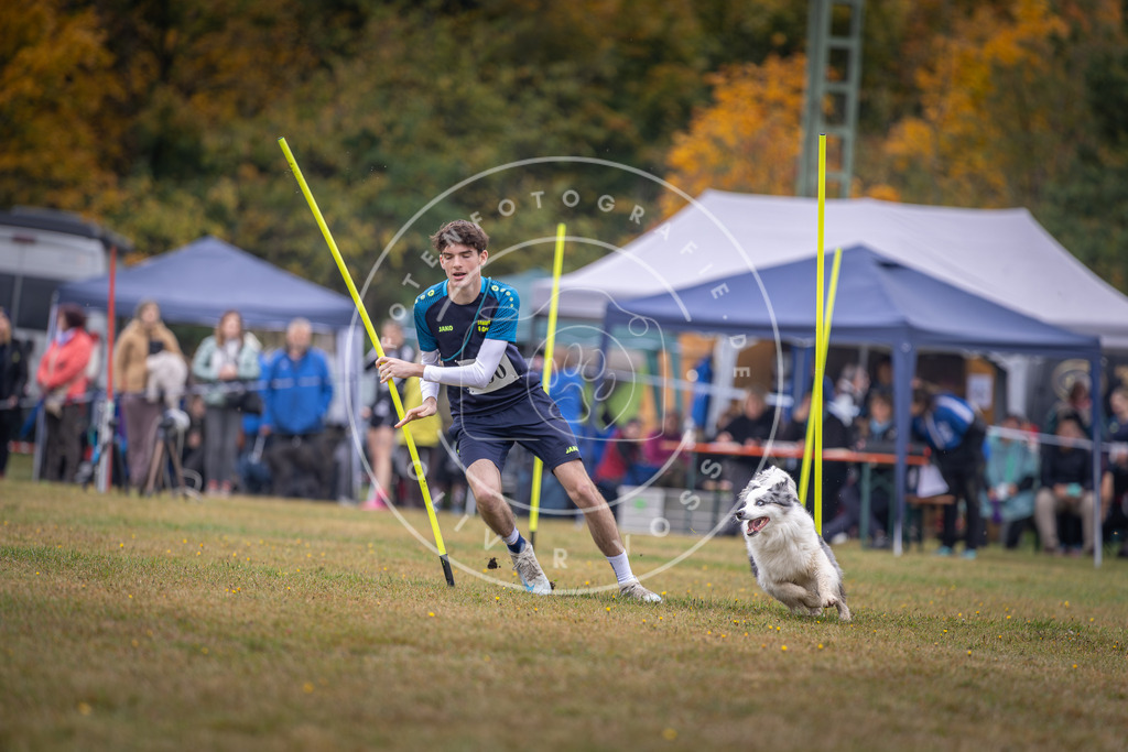 Pfotenfotografie_DV3A1223 | Hundefotografie, Tierfotograf, Pfotenfotografie, Fotoshooting Hund, Hunde Portrait, Hundesport, Hundeportraits, Heideshooting, Hunde, Sportfotograf, Hundefotograf, Turnierhundsport, THS,  - Realisiert mit Pictrs.com