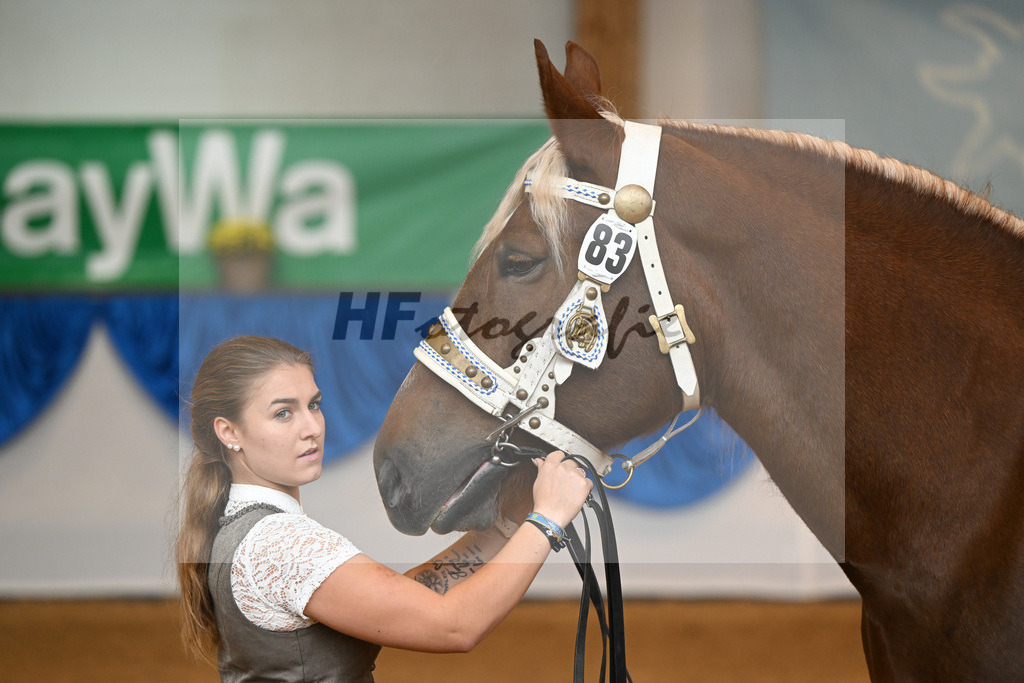 Kat-Nr. 83 Ulla_Ebenbeck_53220438 | hf-fotografie - Realisiert mit Pictrs.com