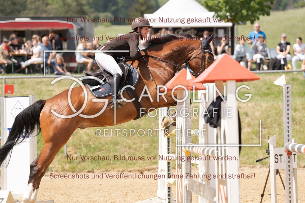 DSC06499 | Springturnier_Ehingen_Mai_2026, Sonja_Häuselmann, Caillou_Brillant