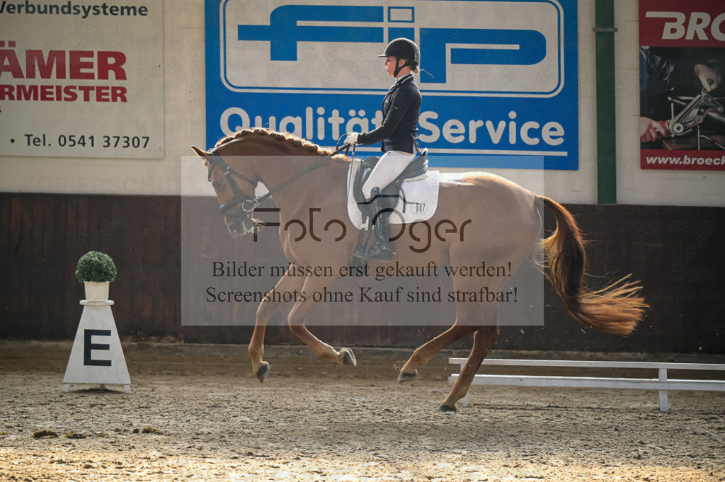 Reitturnier Voxtrup | Entdecke hochwertige Reitturnierfotos von Foto Oger. Professionell, emotional und authentisch – jetzt Lieblingsmomente im Shop bestellen.Deutschlandweite Turnierfotografie. - Realisiert mit Pictrs.com