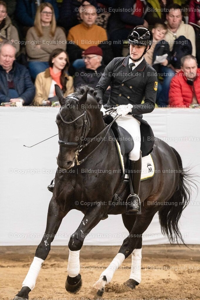 20260307_Hengstvorstellung-Marbach_0483 | equistock