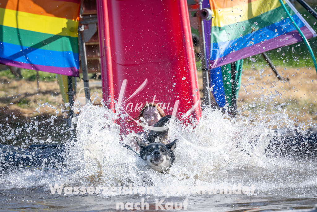 1707_ZZ93339 | kk-dogfotos