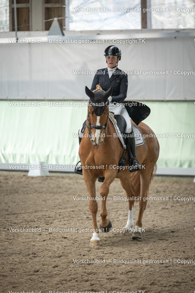 _D5A5066 | Emotionale Pferde- & People-Fotografie rund um Heidelberg, Leimen & Umgebung. Natürliche Fotos von Pferd, Mensch & Familie. Jetzt Termin sichern!