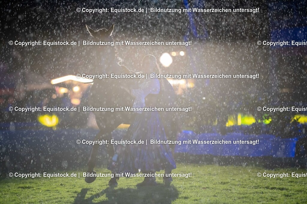 20250606_Lange-Pferdenacht_1133 | Foto: Thomas Hartig