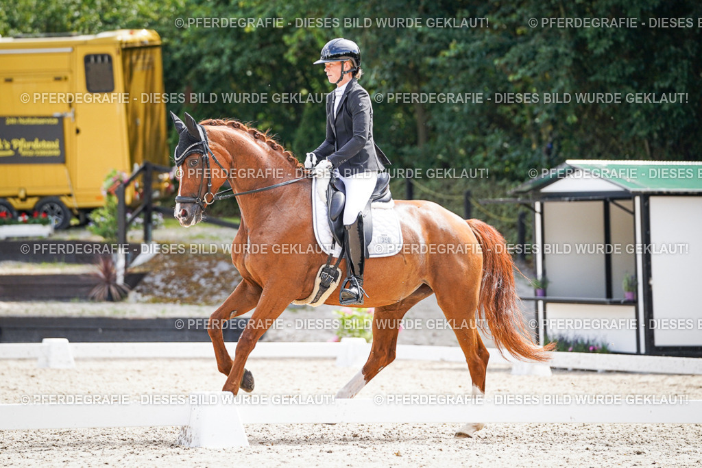 DSC00021 | Pferdegrafie