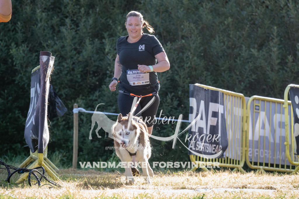 0913_ZZ94606 | kk-dogfotos