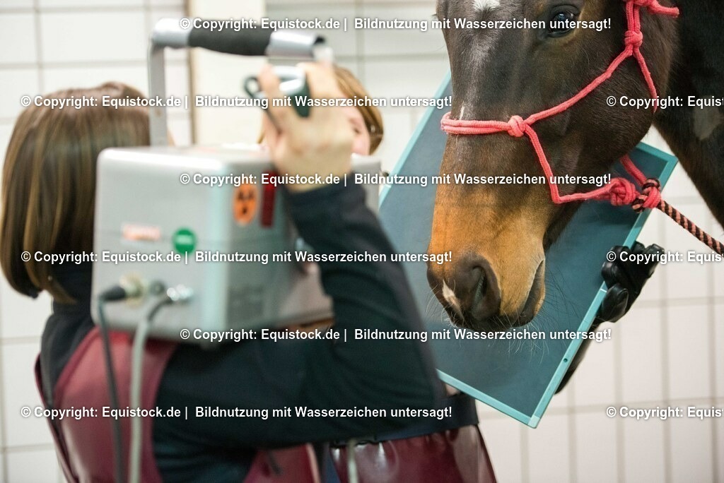 20170113_R__ntgen_0046 | Foto: Thomas Hartig