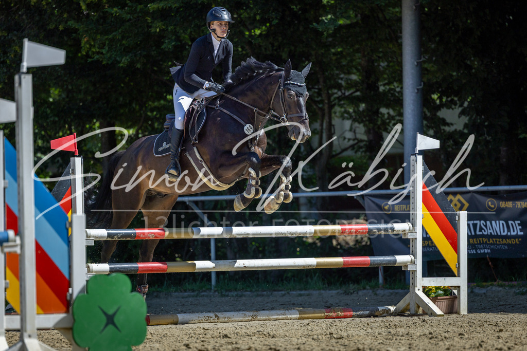 20260704-_3LI7698 | Tierfotografie Pferde, Hunde, Katzen, Haustiere.
Turnierfotografie Reitturniere, Reiten, Springreiten, Dressur in Hanau, dem Main-Kinzig-Kreis und dem Rhein-Main- Gebiet um Frankfurt