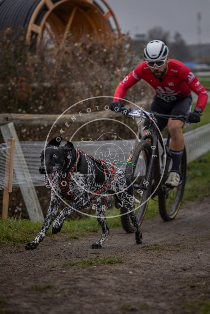 CaniXpix_0L8A1561 | Hundefotografie, Tierfotograf, Pfotenfotografie, Fotoshooting Hund, Hunde Portrait, Hundesport, Hundeportraits, Heideshooting, Hunde, Sportfotograf, Hundefotograf, Turnierhundsport, THS,  - Realisiert mit Pictrs.com