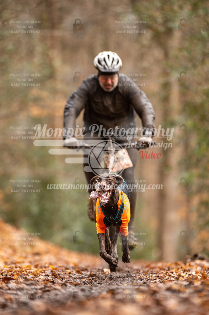 SPA_2023_DIM_Bike-20 | PayLife