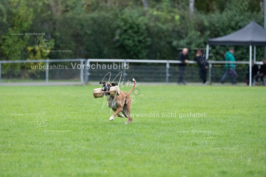 _16A4674 | Einzigartige Fotos von Hunden & Menschen –Actionfotos, Portraits, Vereinsaufnahmen & Paarshootings – authentisch, lebendig & mit Herz.