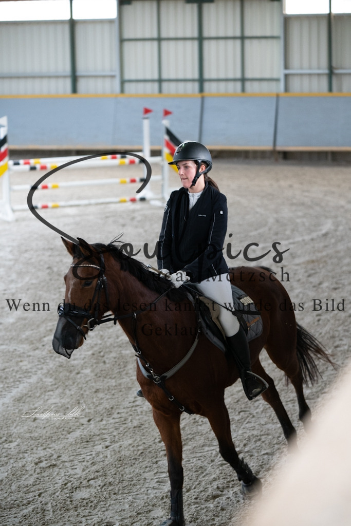 A7V01360 | Pferdefotograf