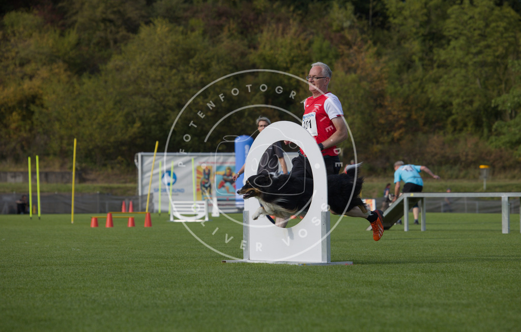 0L8A4026 | Hundefotografie, Tierfotograf, Pfotenfotografie, Fotoshooting Hund, Hunde Portrait, Hundesport, Hundeportraits, Heideshooting, Hunde, Sportfotograf, Hundefotograf, Turnierhundsport, THS,  - Realisiert mit Pictrs.com
