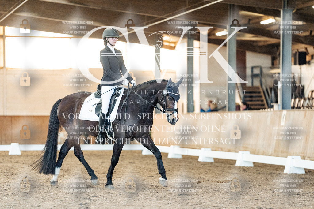 CK906926 | Turnierfotografie Pferdefotografie Trier Rheinland-Pfalz Pferdesport Reitsport Tierfotografie Sportfotografie Pferdevideo Pferdevideografie Equestrianvideography equestrianphotography  - Realisiert mit Pictrs.com