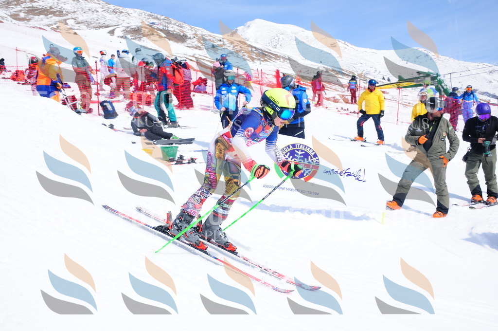 DSC_6870 | holidayphoto