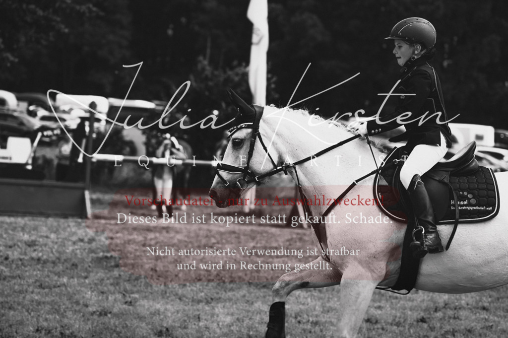 DSC_9630 | Pferde- und Turnierfotografie in Westsachsen. Pferdeportraits, Auftragszeichnungen und intuitive Kunst.