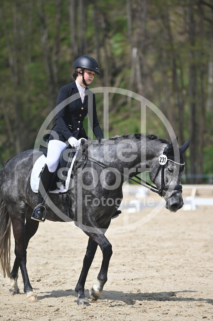 DSC_2254 | sattelsport - Realisiert mit Pictrs.com