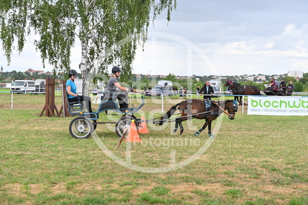 DSC_4507 | sattelsport - Realisiert mit Pictrs.com